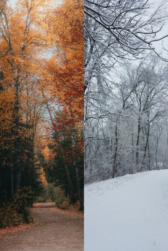 Autumn foliage and snowy winter landscape