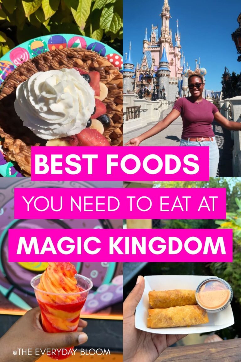 Best snacks at magic kingdom
