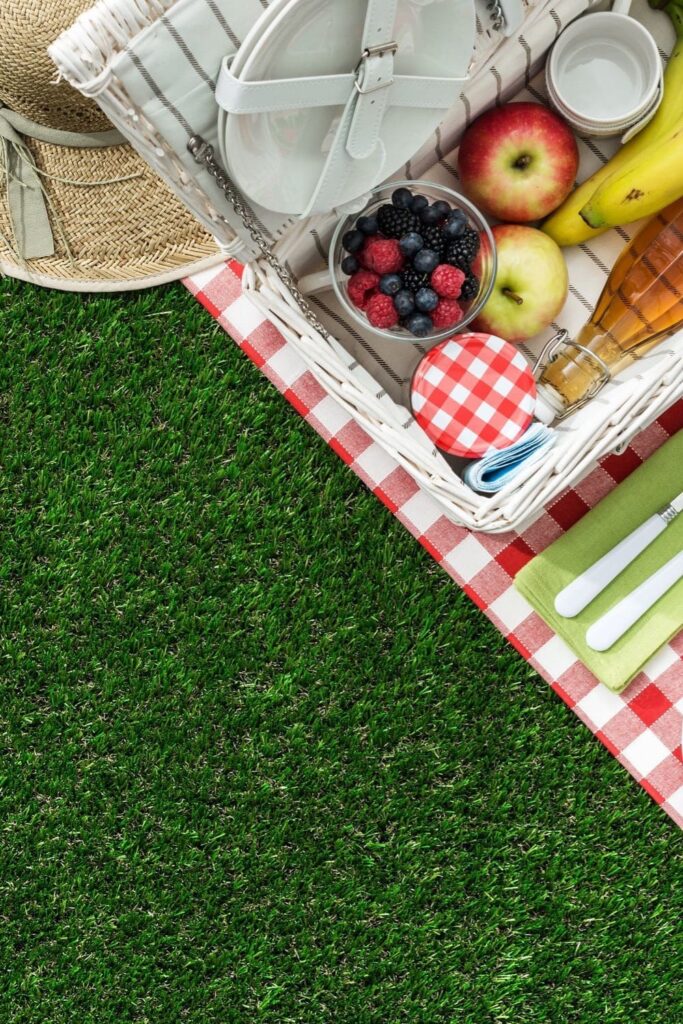 What foods to bring to a picnic