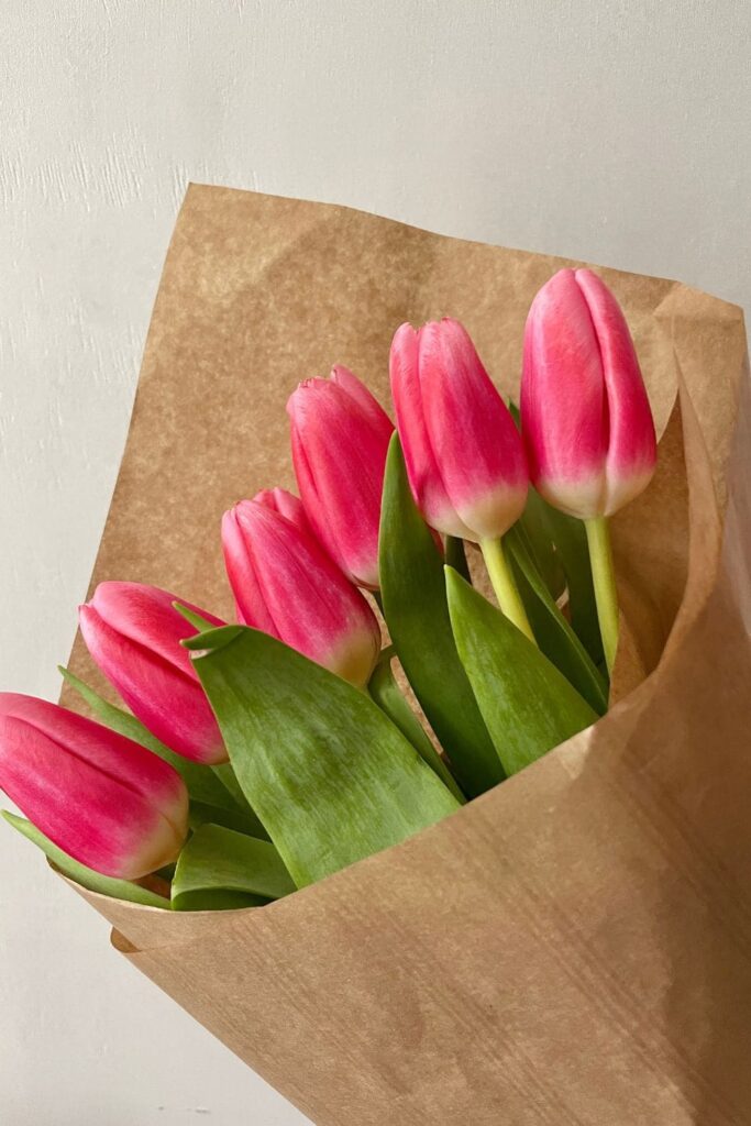 Bouquet of tulips