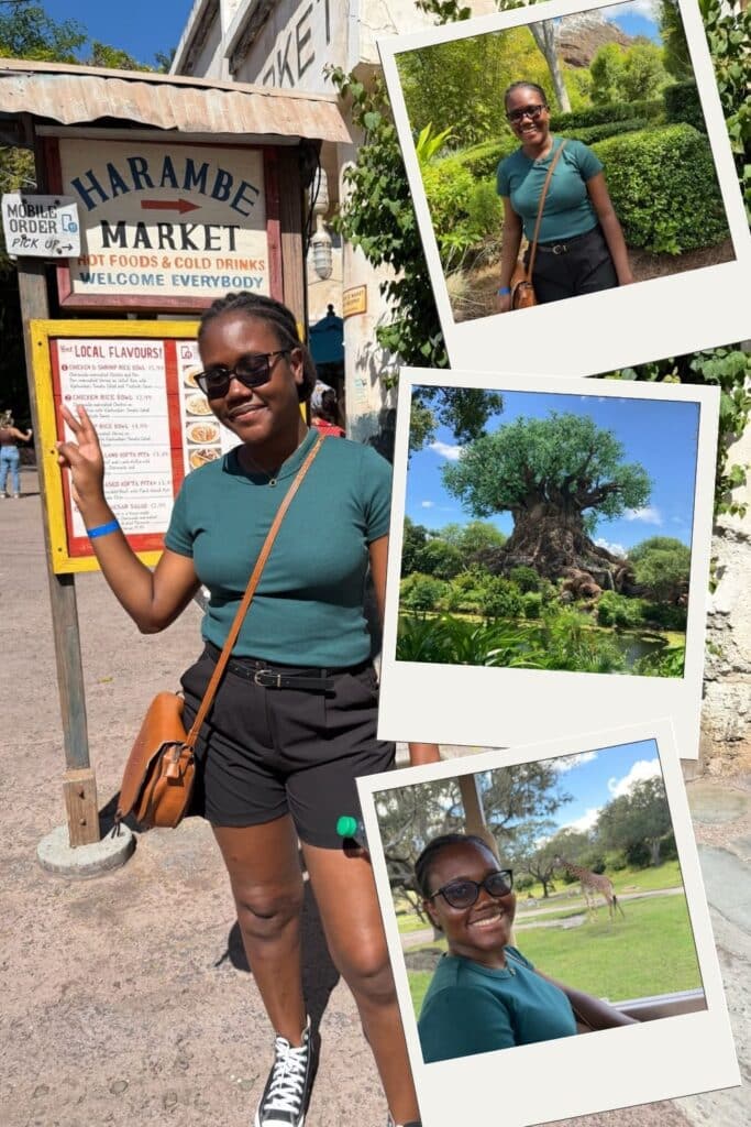 Animal kingdom outfit