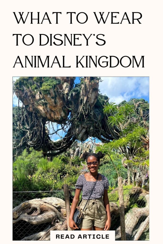 What to wear to animal kingdom