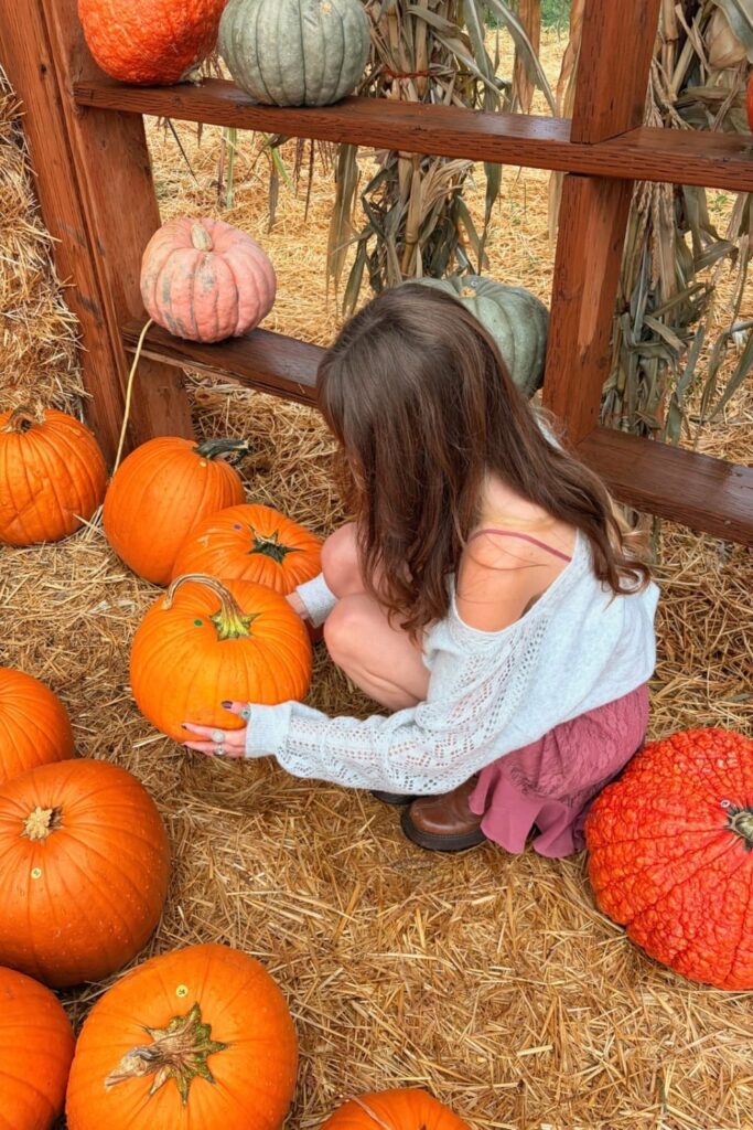 Pumpkin patch Photoshoot