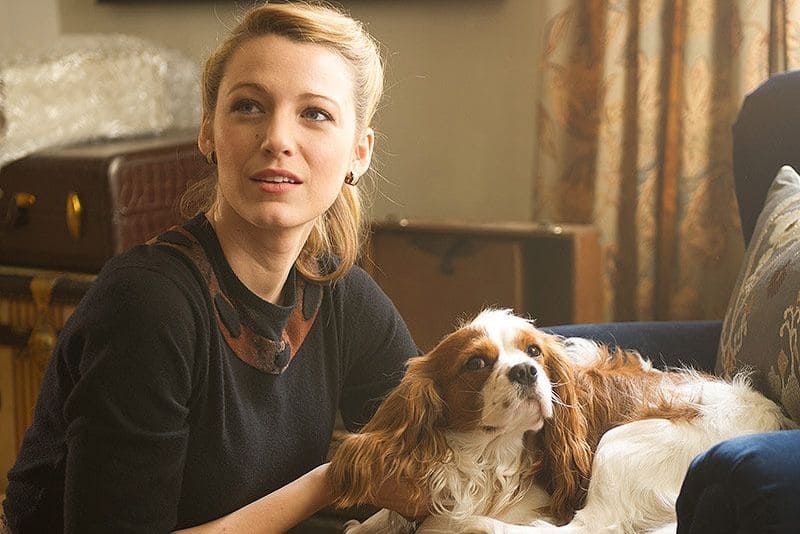 The age of Adeline fall movies to watch
