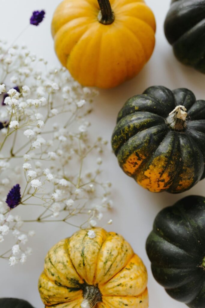 Petals and pumpkins party