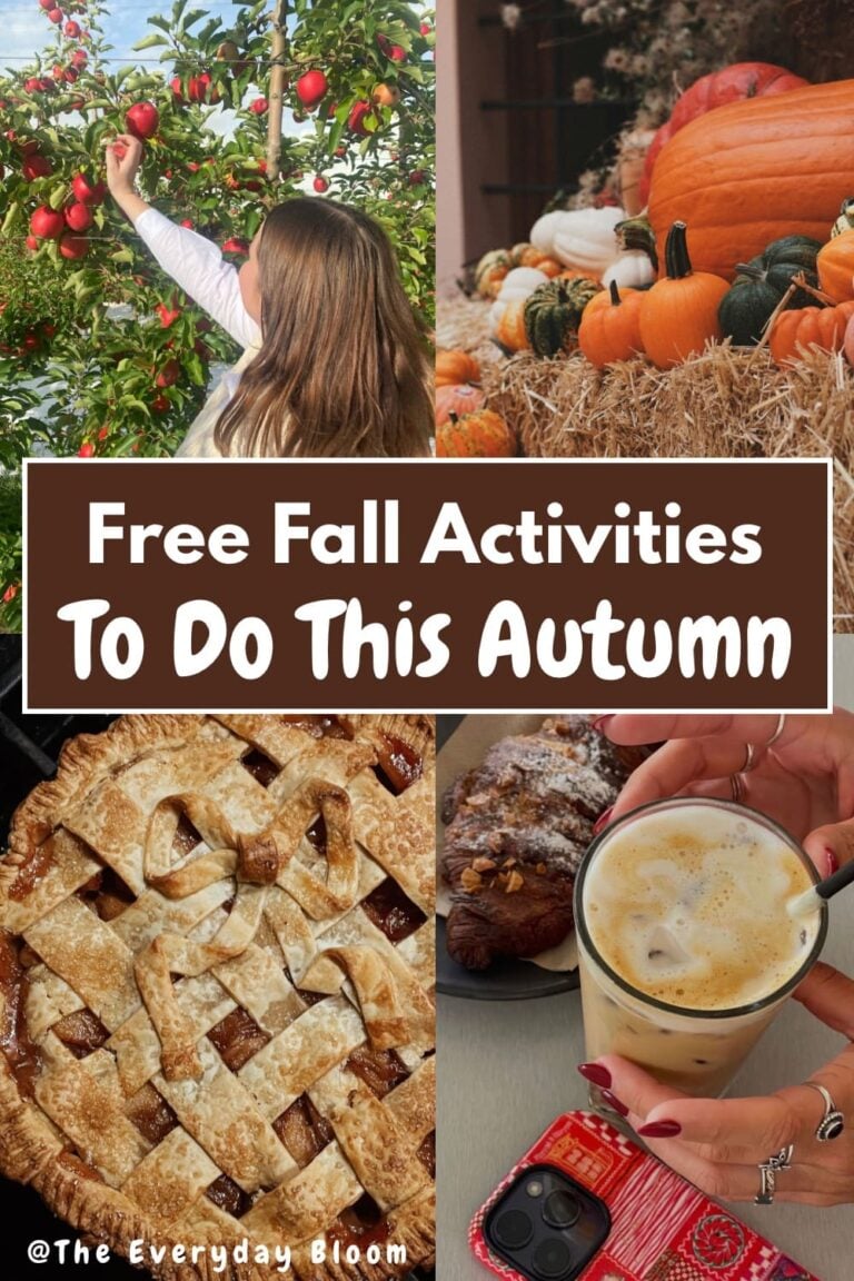 Free fall activities